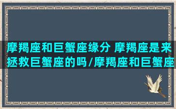 摩羯座和巨蟹座缘分 摩羯座是来拯救巨蟹座的吗/摩羯座和巨蟹座缘分 摩羯座是来拯救巨蟹座的吗-我的网站